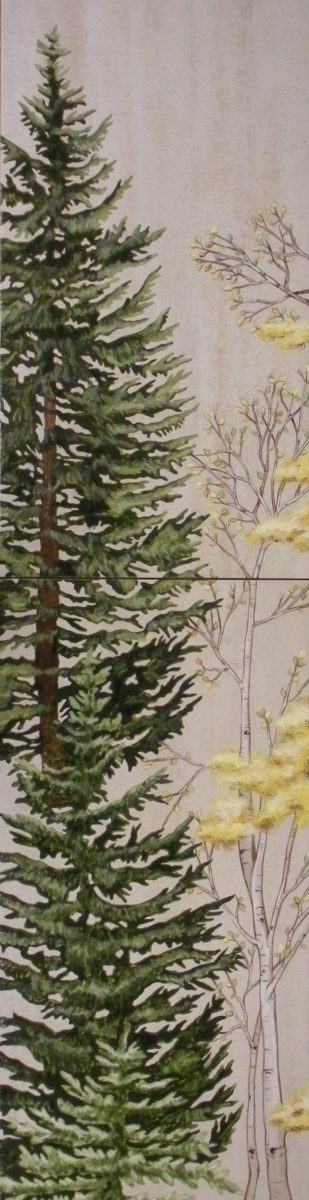 Fresh Pine and Aspen mural 24x12